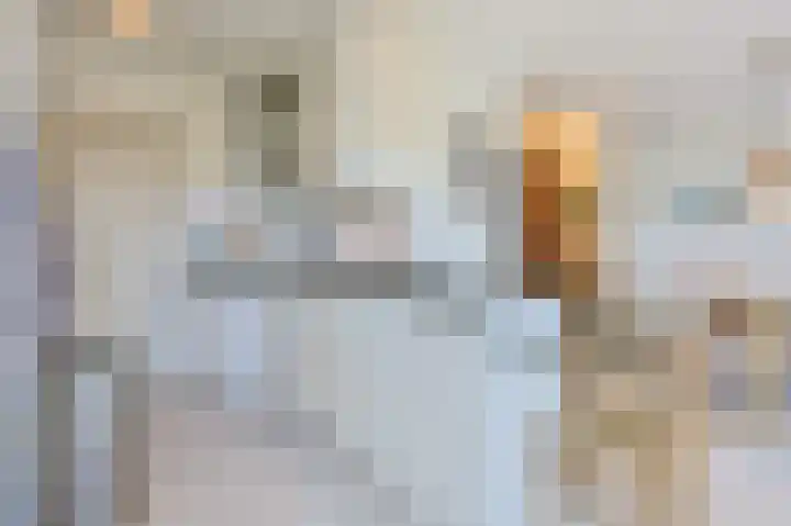 Pasteurlaan 17 Eindhoven thumbnail 18