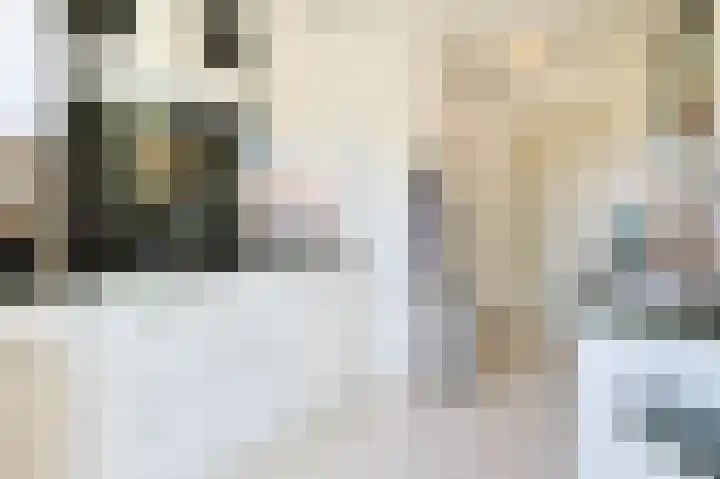 Pasteurlaan 17 Eindhoven thumbnail 19