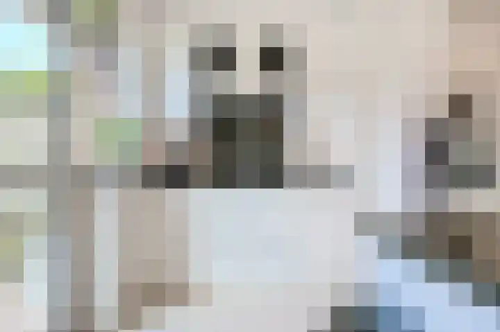 Pasteurlaan 17 Eindhoven thumbnail 20