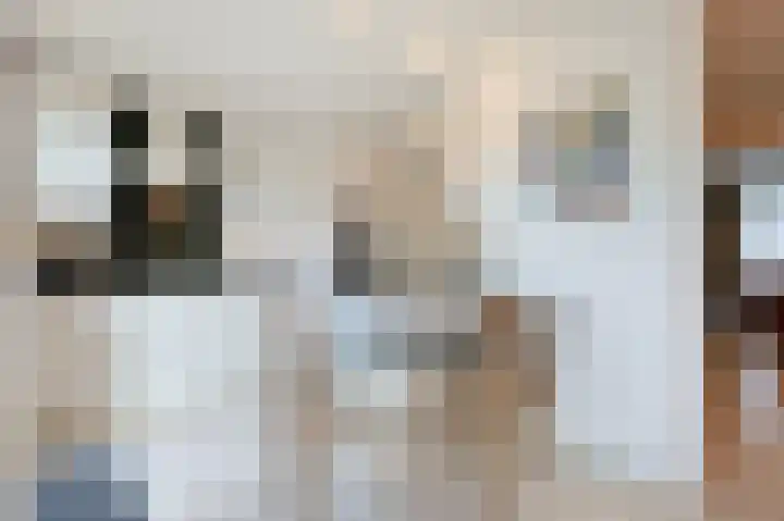 Pasteurlaan 17 Eindhoven thumbnail 22