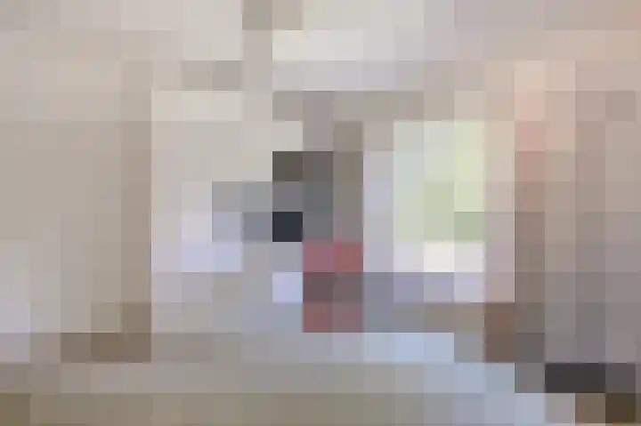 Pasteurlaan 17 Eindhoven thumbnail 28