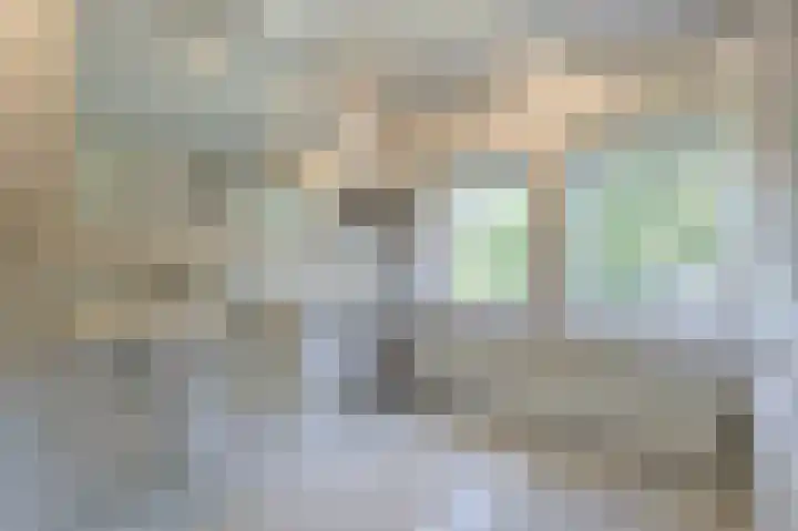 Pasteurlaan 17 Eindhoven thumbnail 34