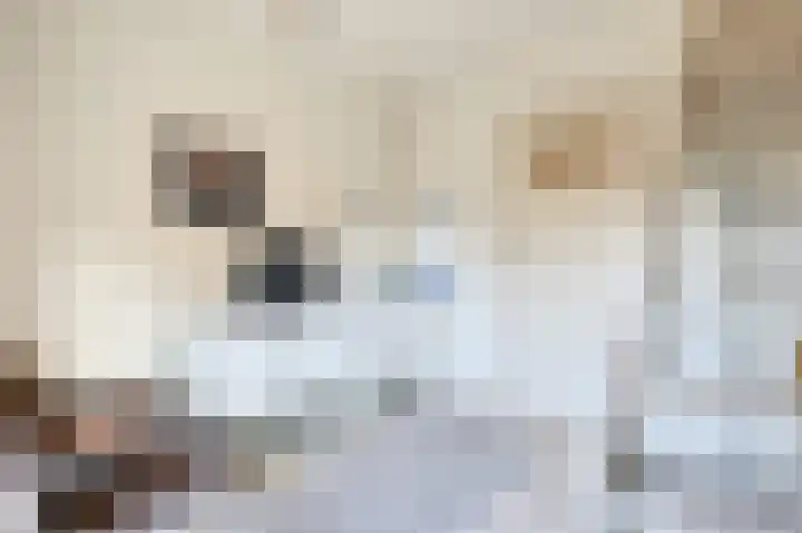 Pasteurlaan 17 Eindhoven thumbnail 38