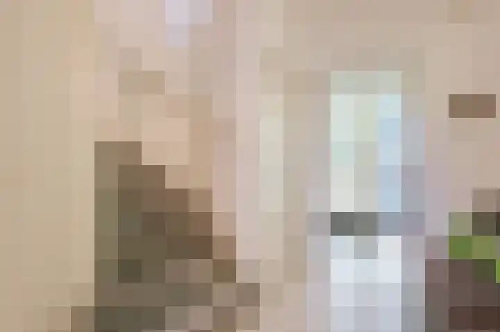 Pasteurlaan 17 Eindhoven thumbnail 4