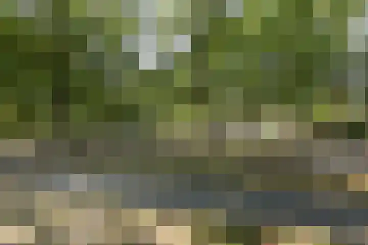 Pasteurlaan 17 Eindhoven thumbnail 41