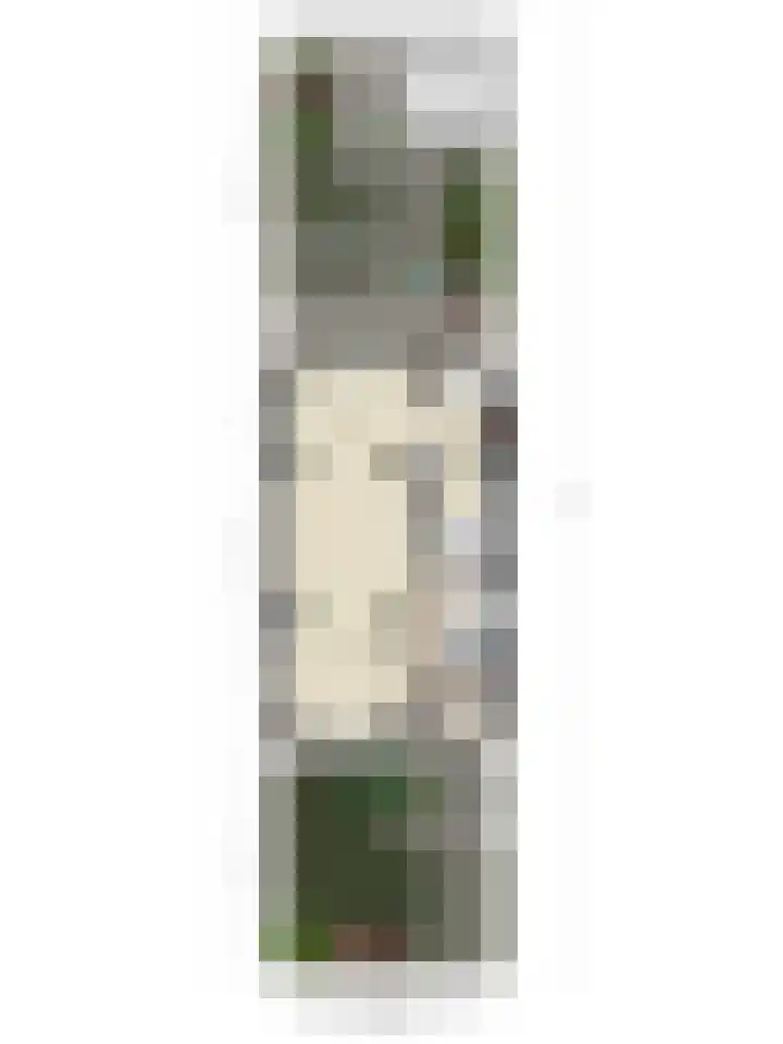 Pasteurlaan 17 Eindhoven thumbnail 42