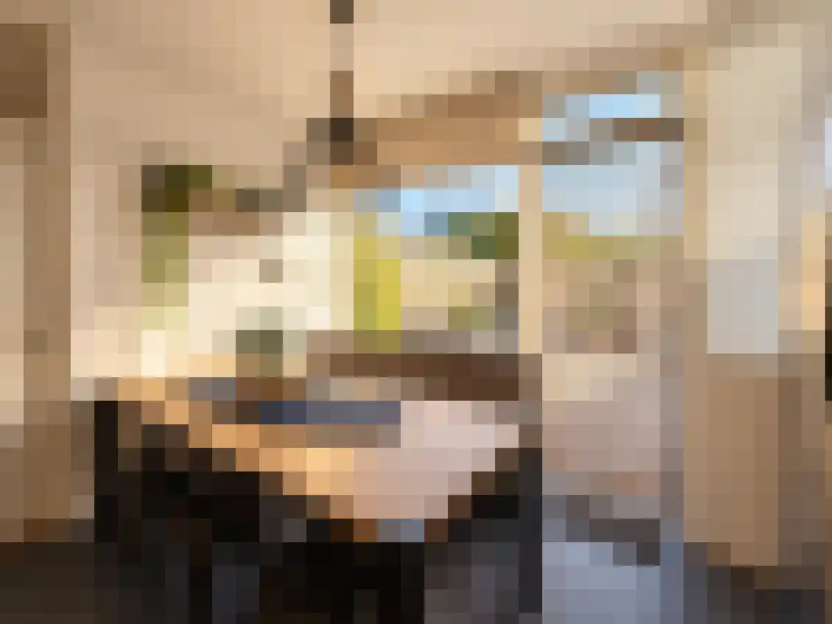Pasteurlaan 18 Bergen op Zoom thumbnail 6