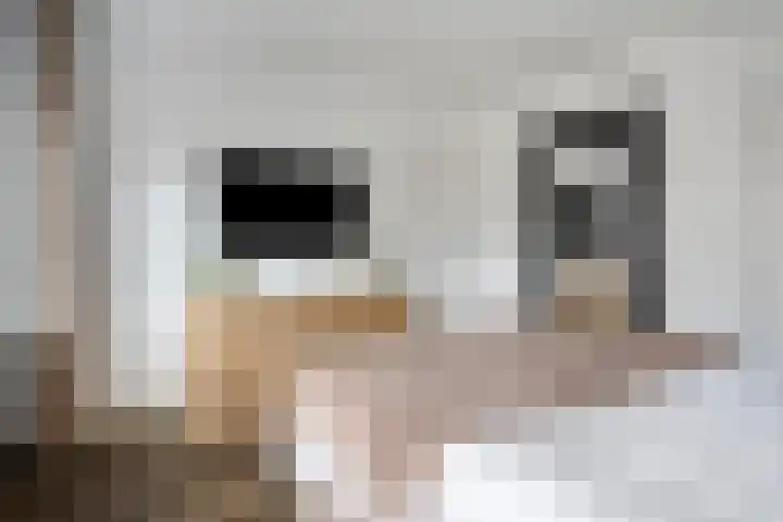 Pasteurlaan 20 Eindhoven thumbnail 21