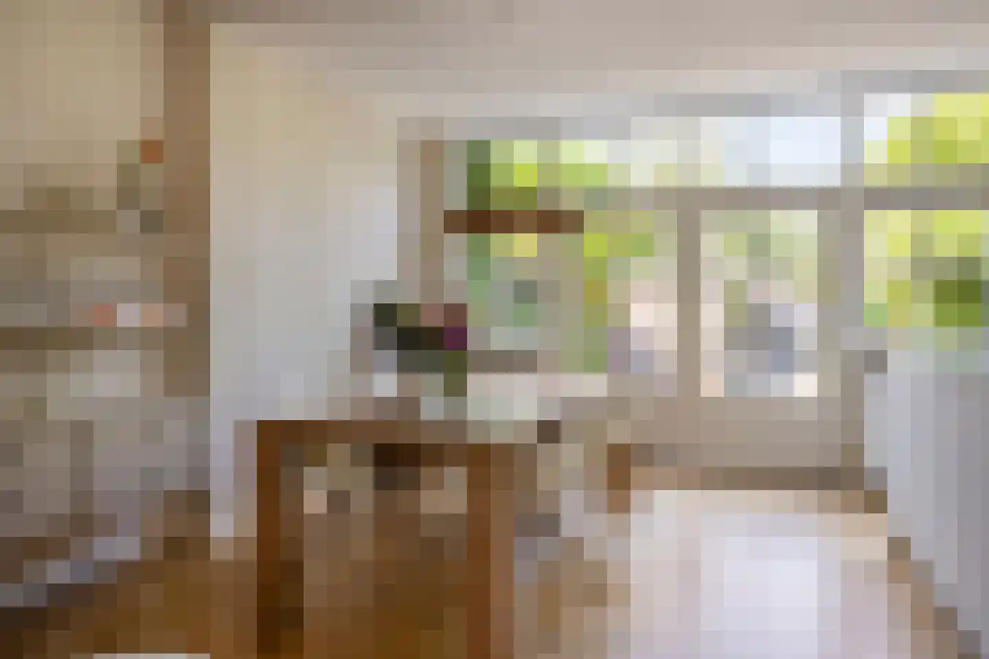 Pasteurlaan 24 Eindhoven thumbnail 13