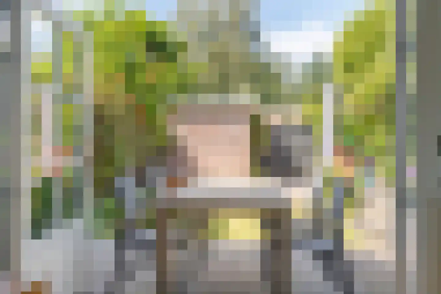 Pasteurlaan 24 Eindhoven thumbnail 15