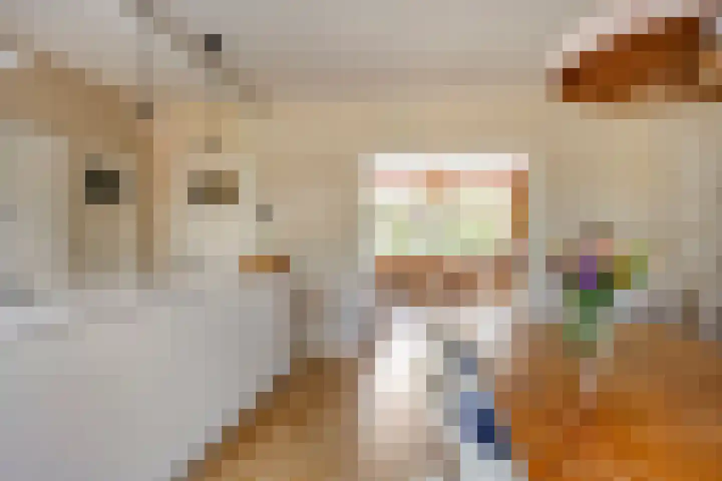 Pasteurlaan 24 Eindhoven thumbnail 17