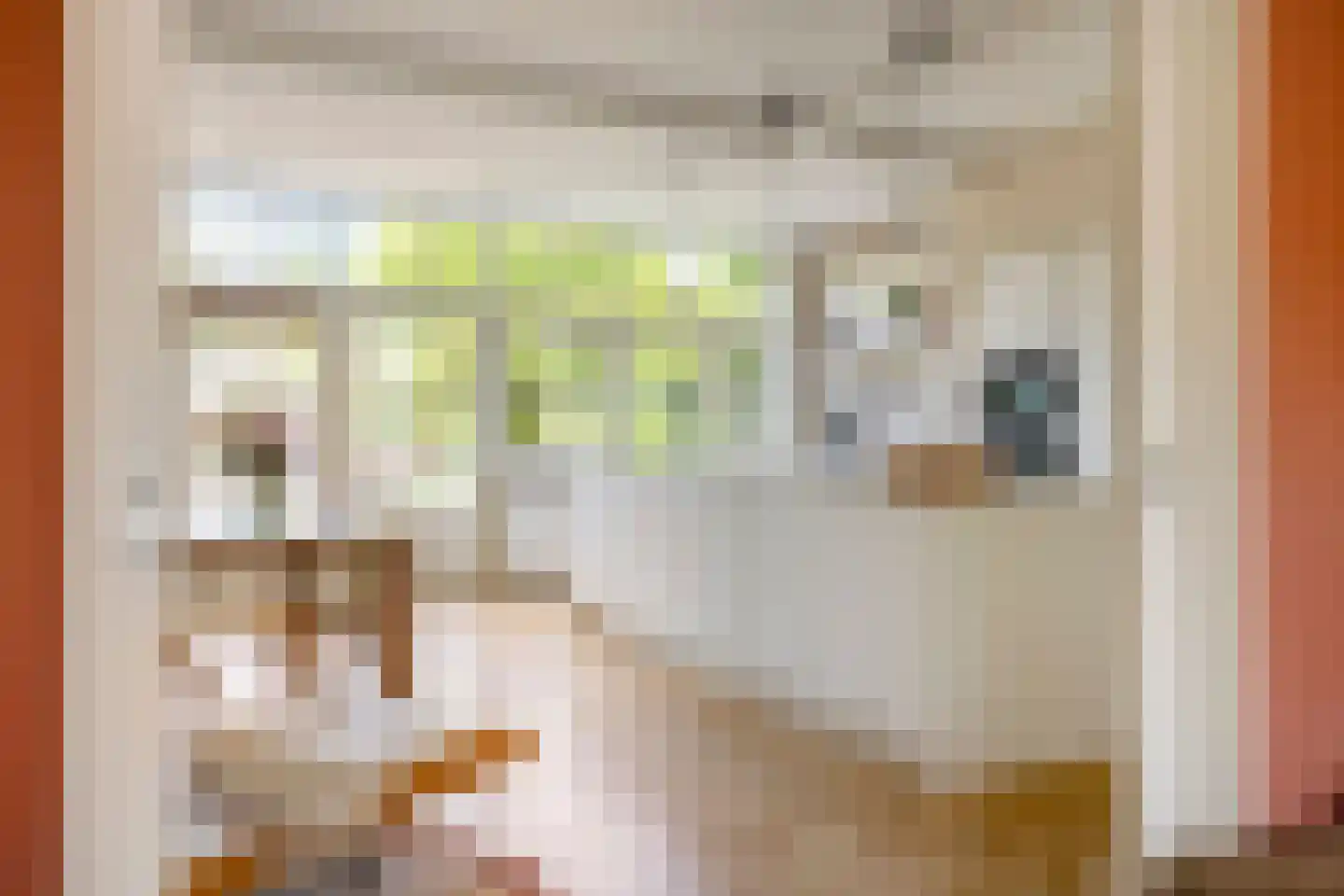 Pasteurlaan 24 Eindhoven thumbnail 18