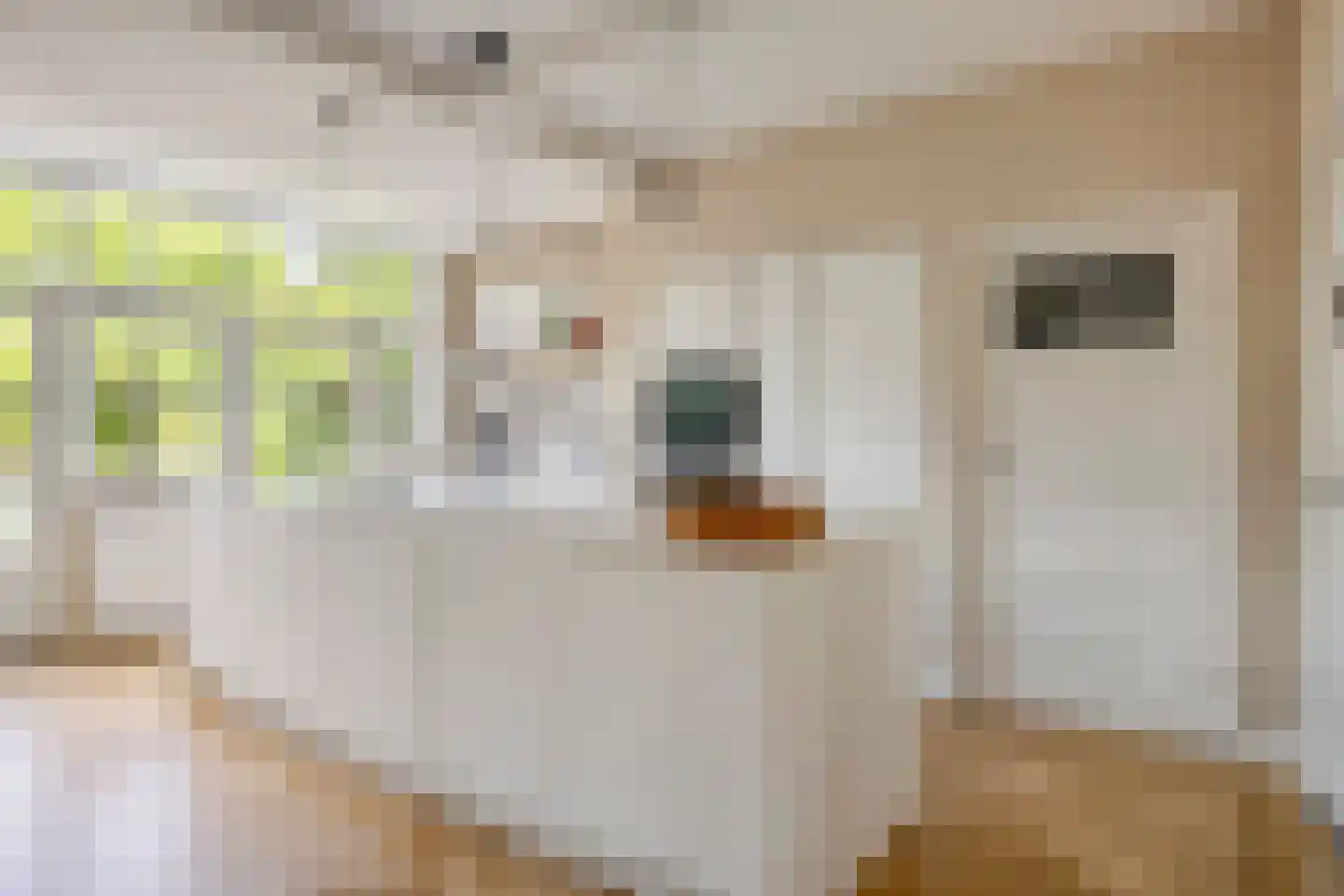 Pasteurlaan 24 Eindhoven thumbnail 19