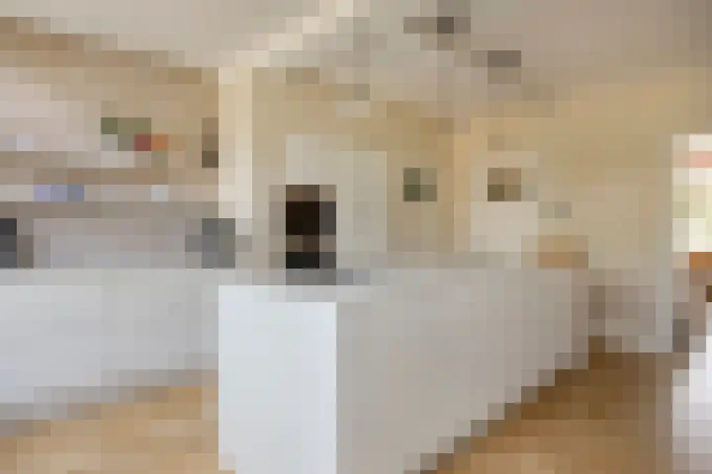 Pasteurlaan 24 Eindhoven thumbnail 20
