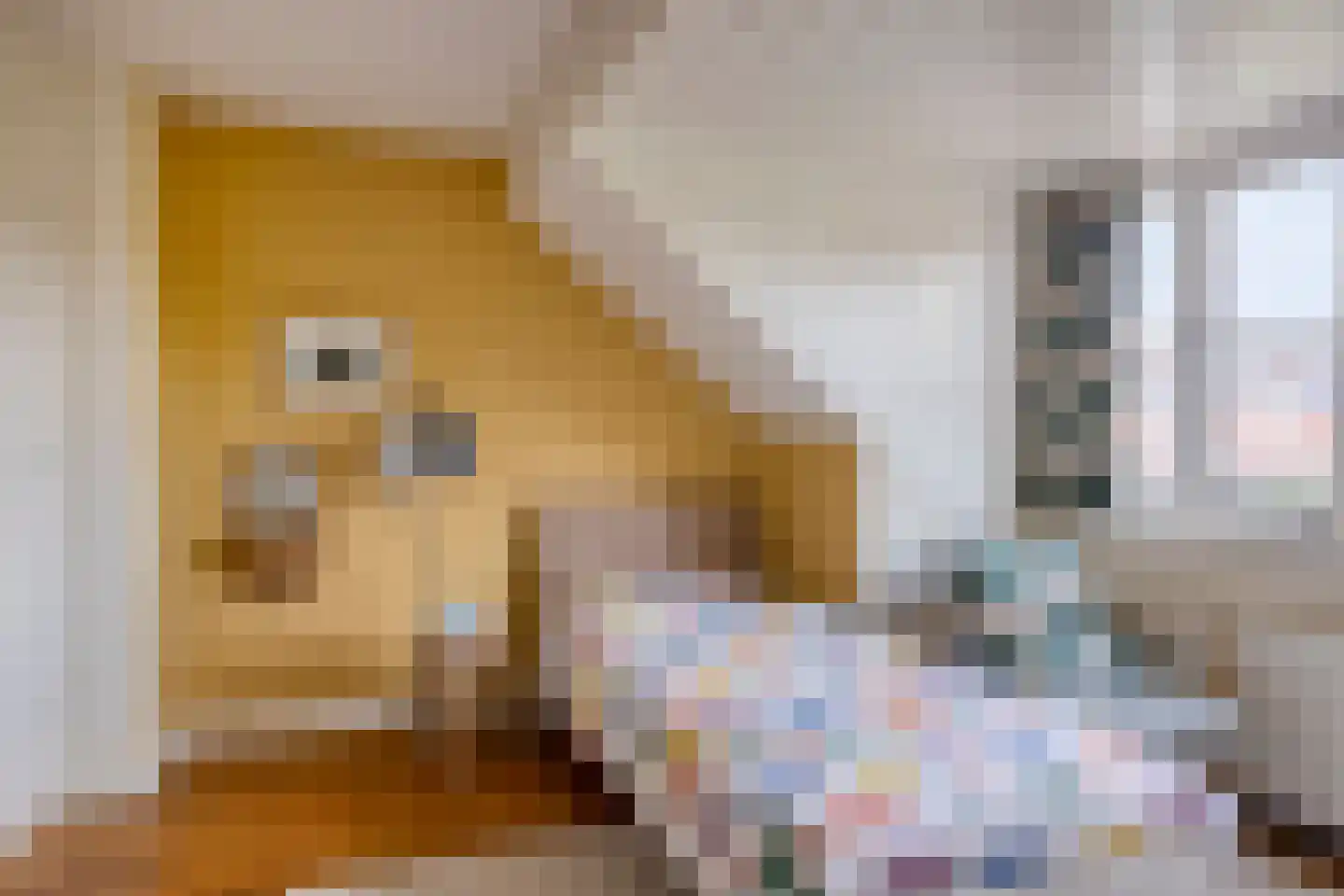 Pasteurlaan 24 Eindhoven thumbnail 37