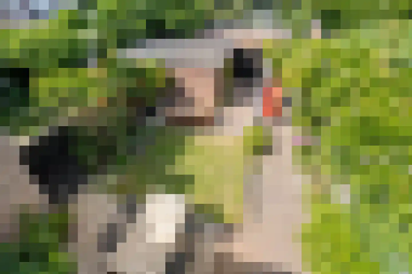Pasteurlaan 24 Eindhoven thumbnail 44