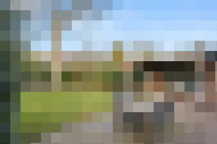 Pasteurlaan 3 Bennekom thumbnail 22
