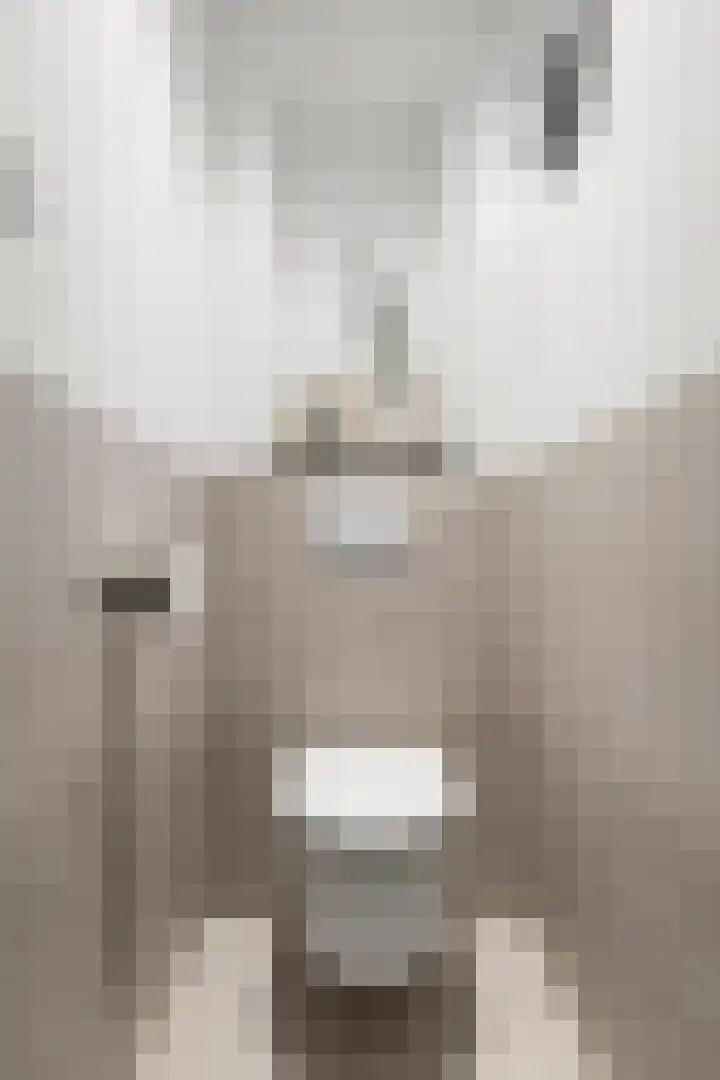 Pasteurlaan 3 Bennekom thumbnail 6