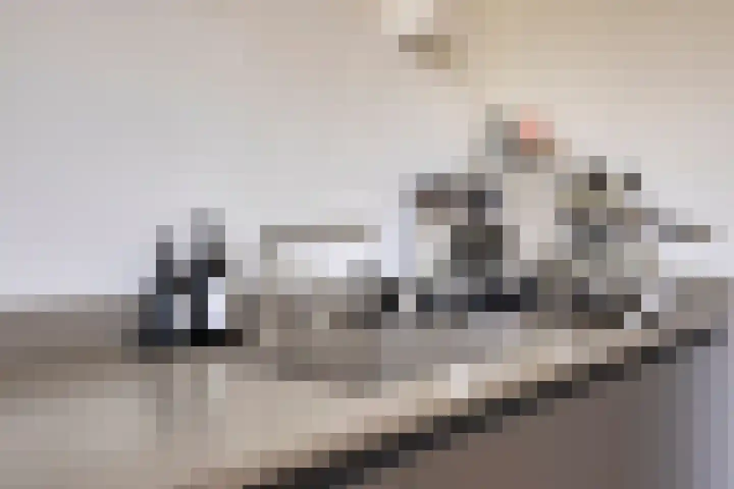 Pasteurlaan 31 Eindhoven thumbnail 32