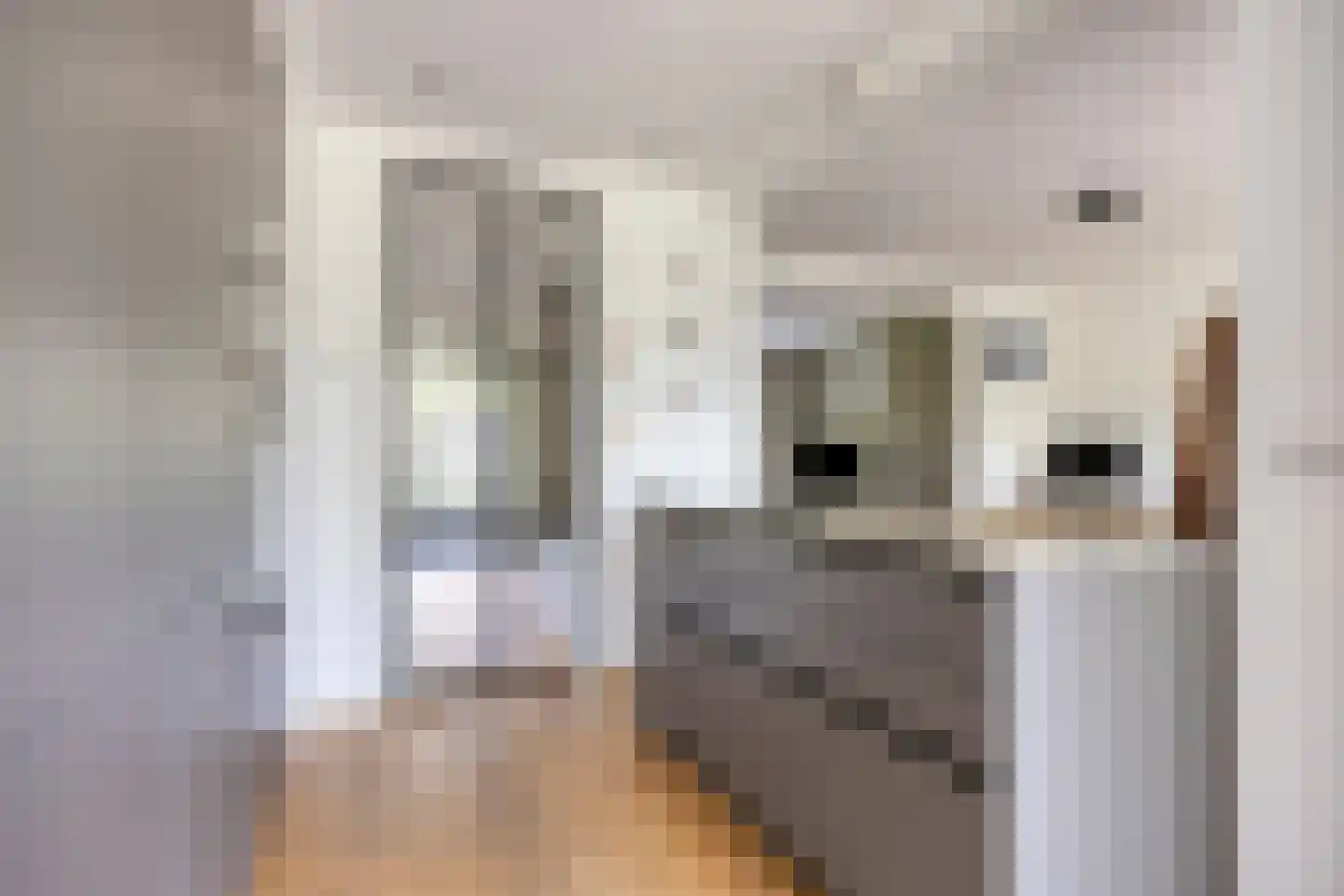 Pasteurlaan 31 Eindhoven thumbnail 34