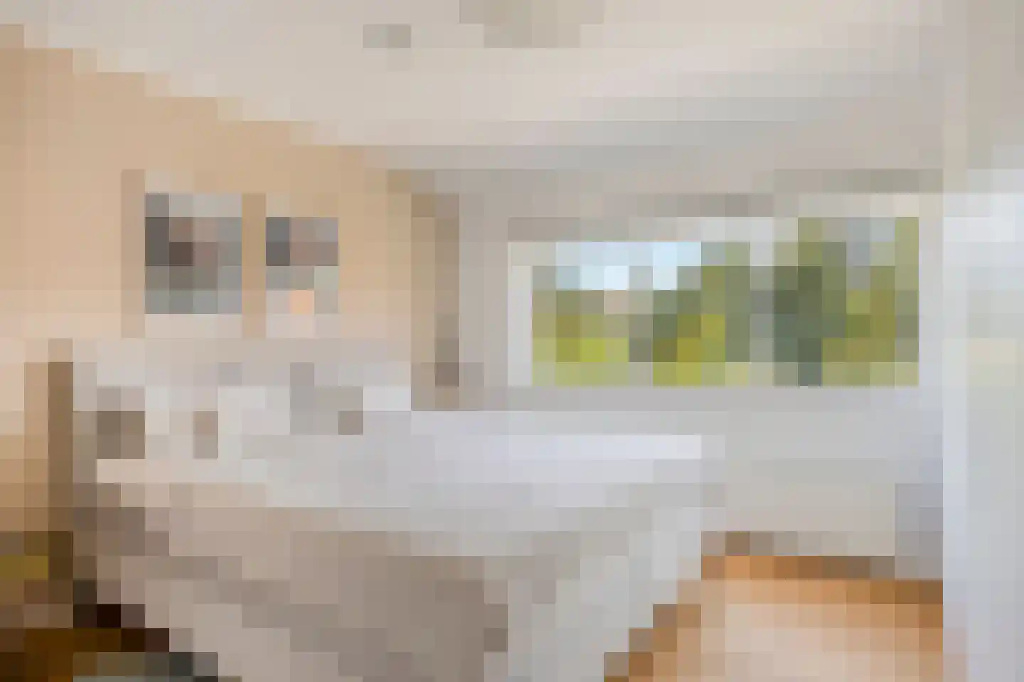 Pasteurlaan 31 Eindhoven thumbnail 42