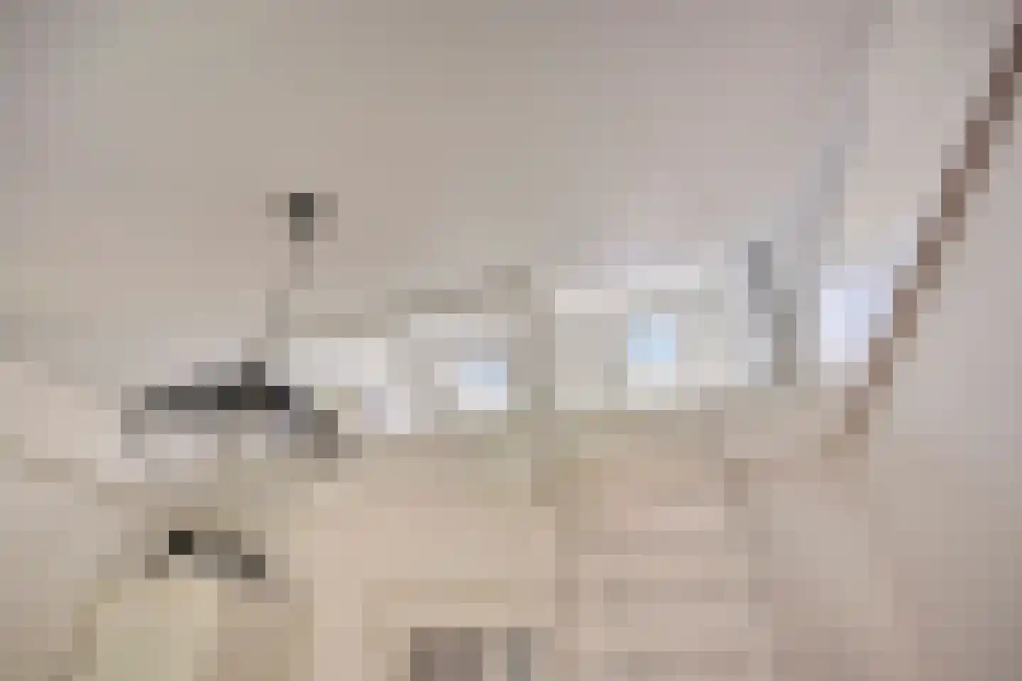 Pasteurlaan 31 Eindhoven thumbnail 54