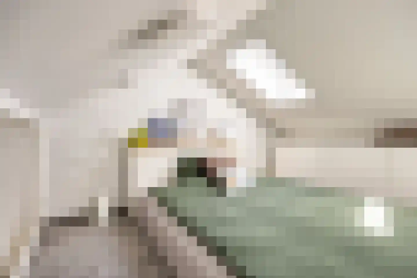 Pasteurlaan 31 Eindhoven thumbnail 56