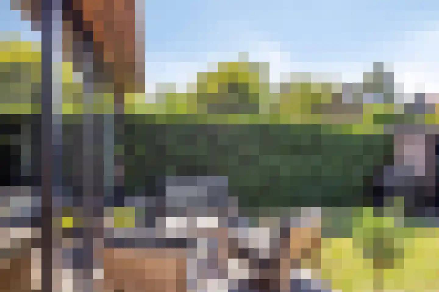 Pasteurlaan 31 Eindhoven thumbnail 59