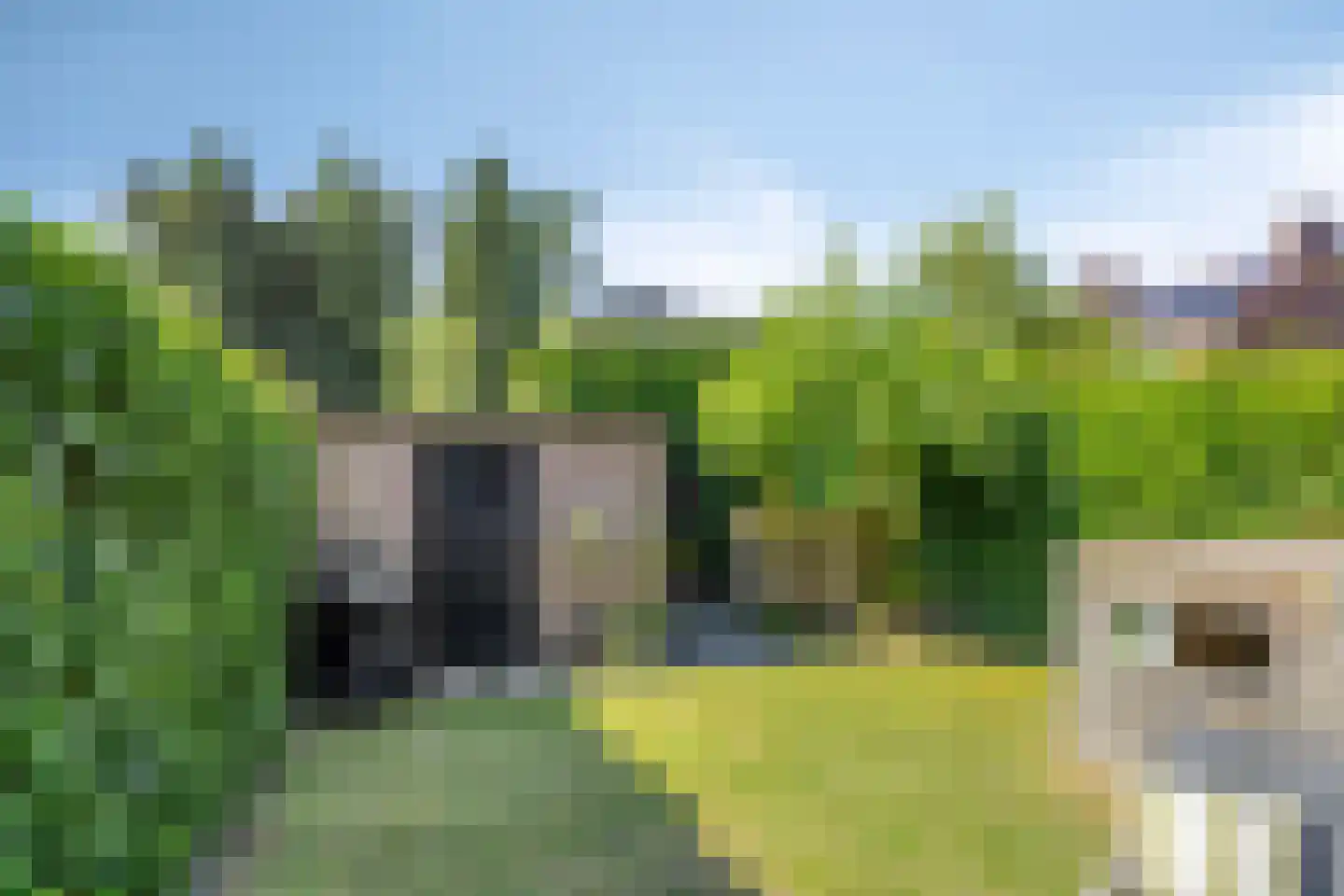 Pasteurlaan 31 Eindhoven thumbnail 62