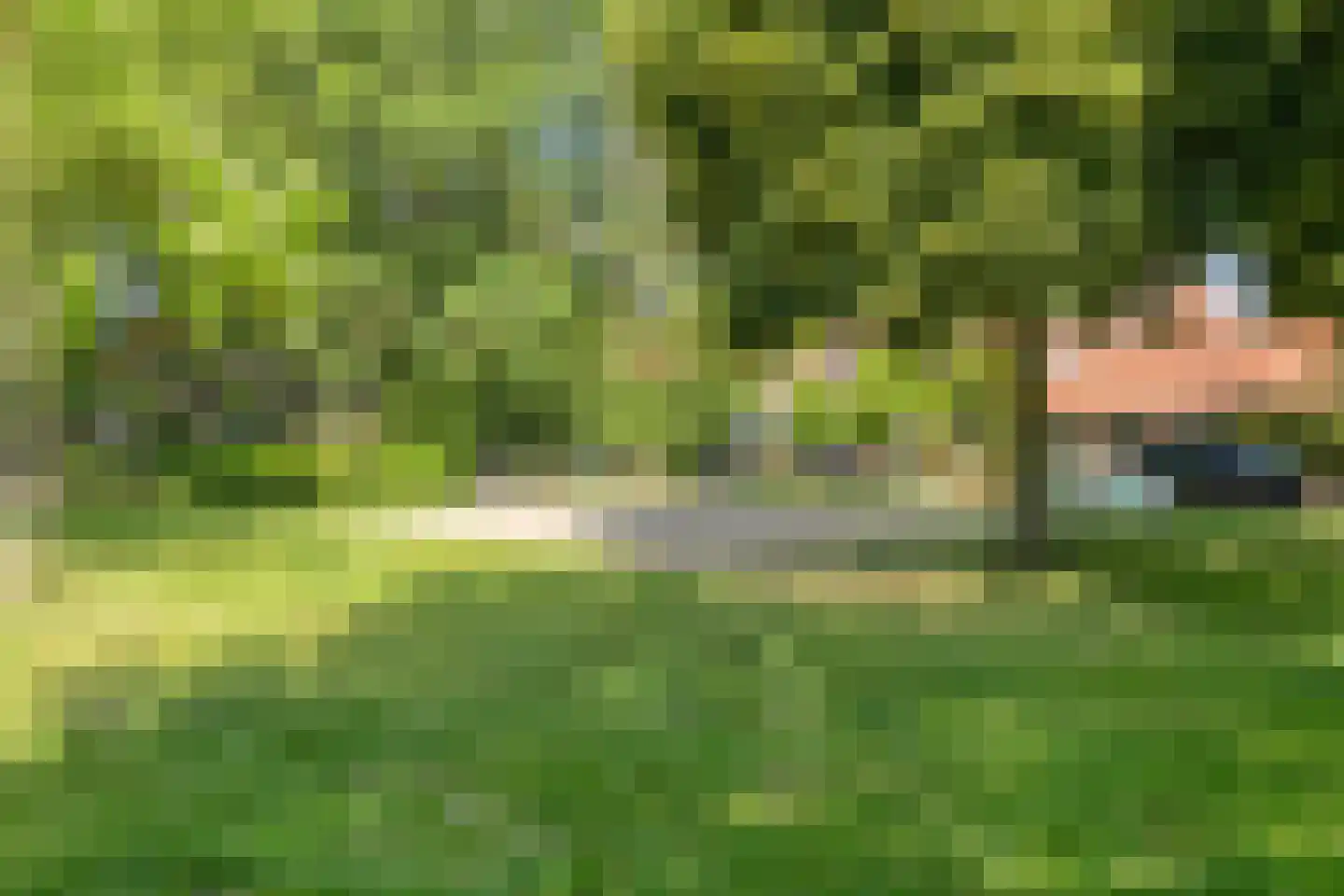 Pasteurlaan 31 Eindhoven thumbnail 67