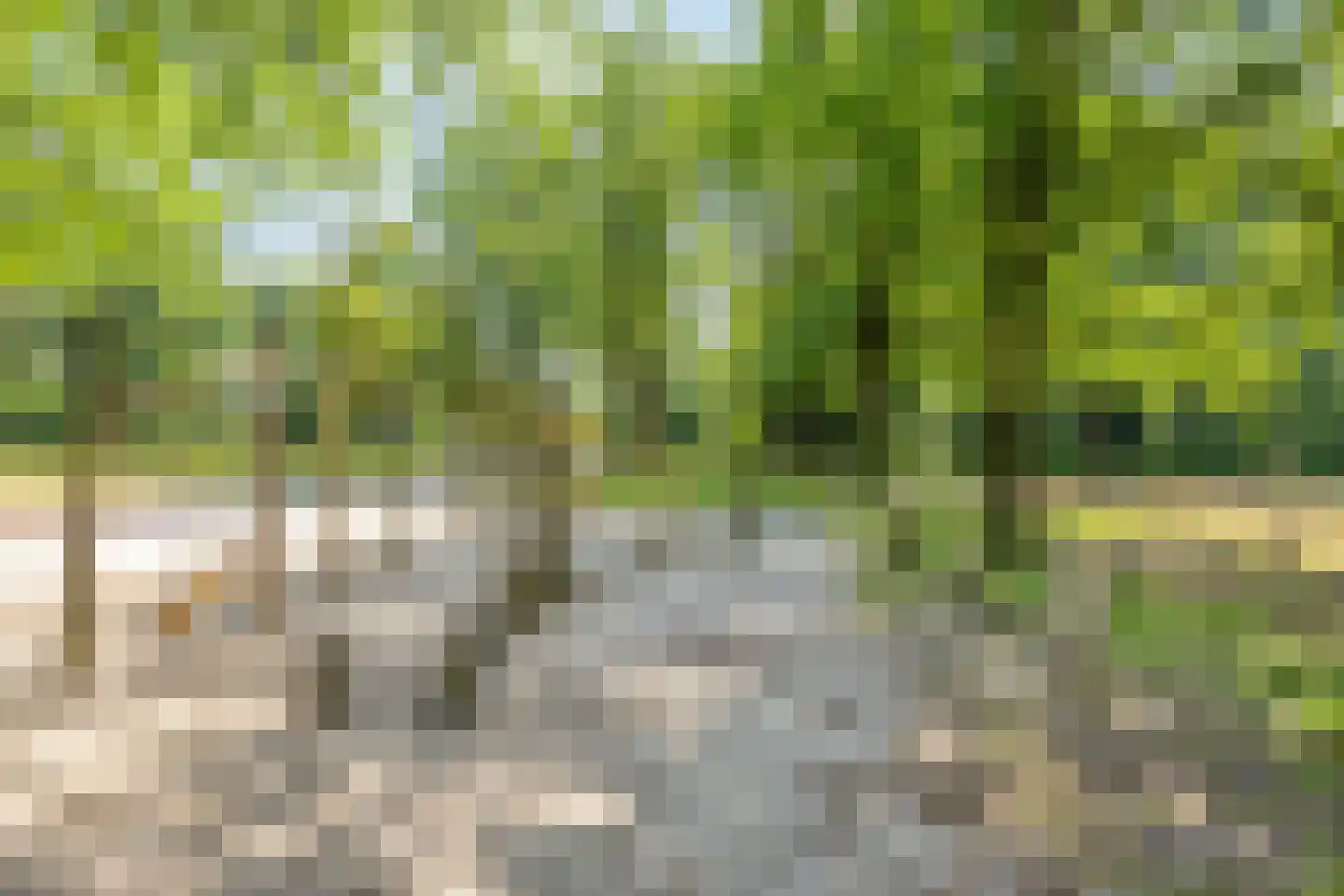 Pasteurlaan 31 Eindhoven thumbnail 68