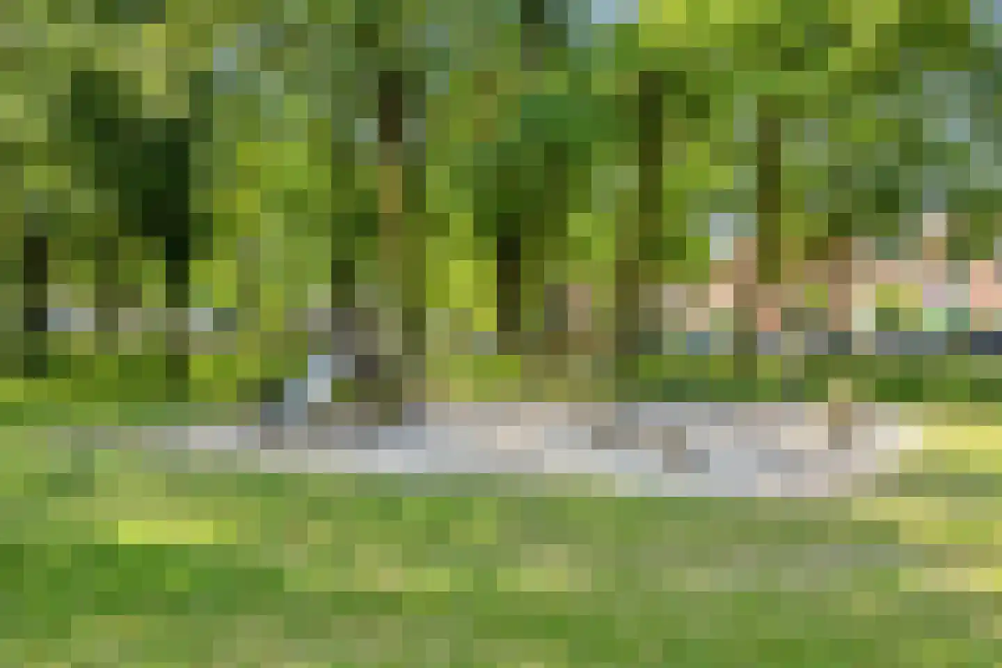 Pasteurlaan 31 Eindhoven thumbnail 70