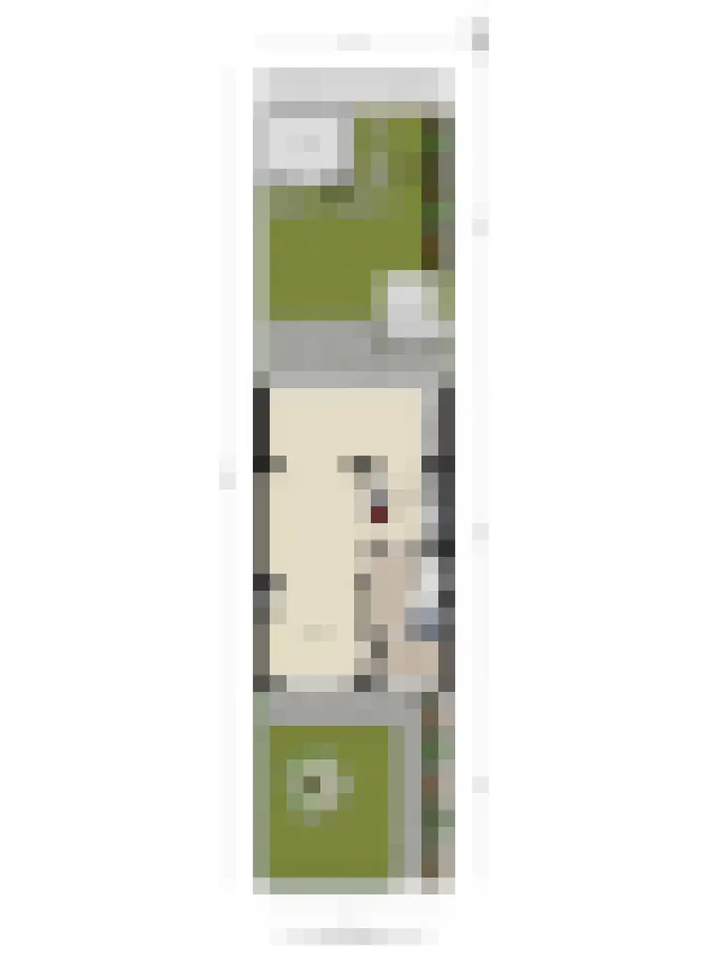 Pasteurlaan 31 Eindhoven thumbnail 73