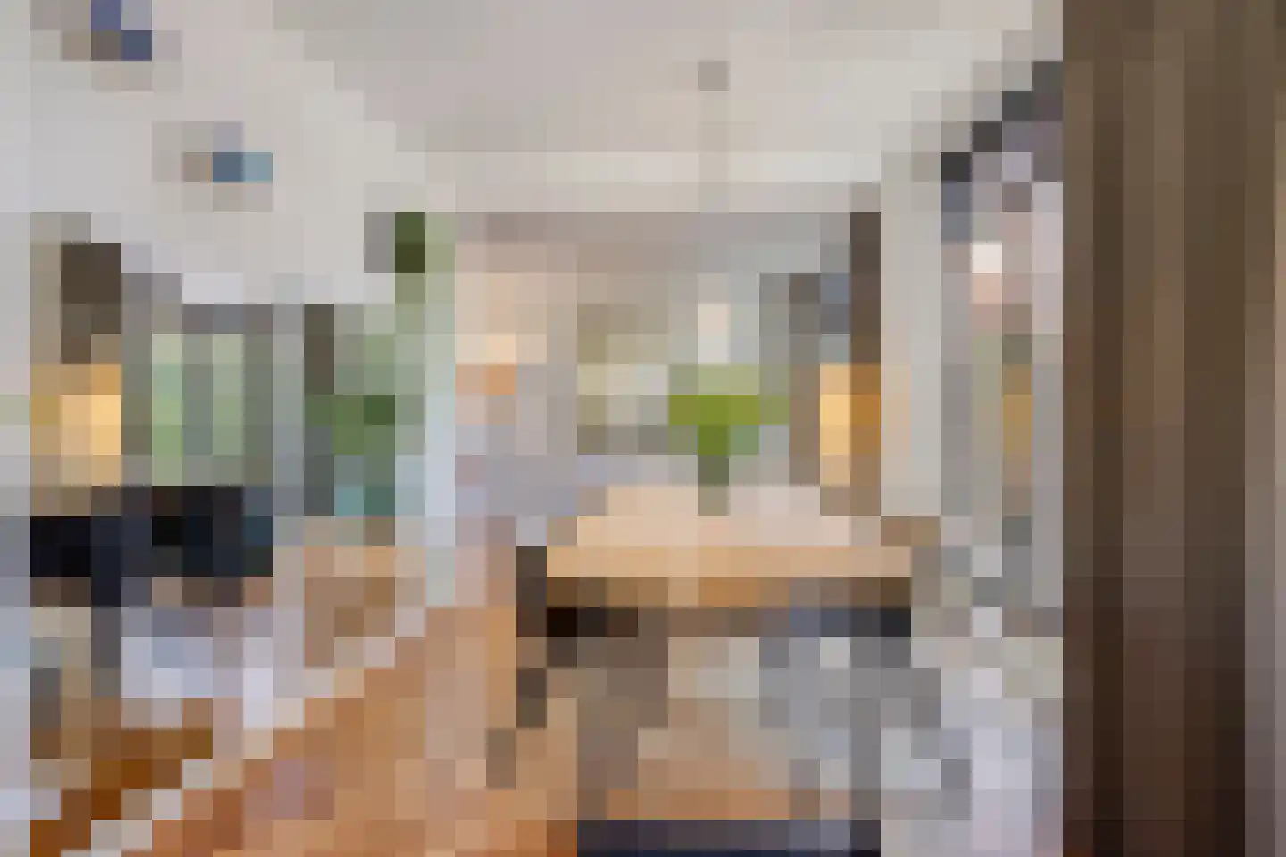 Pasteurlaan 37 Eindhoven thumbnail 15