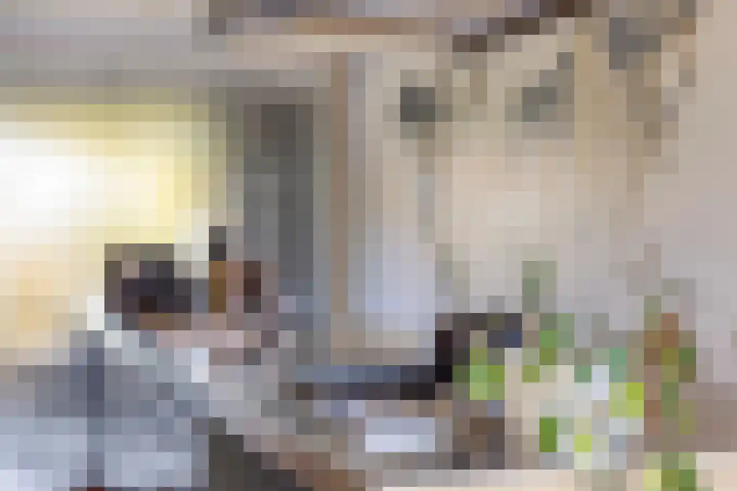 Pasteurlaan 37 Eindhoven thumbnail 19