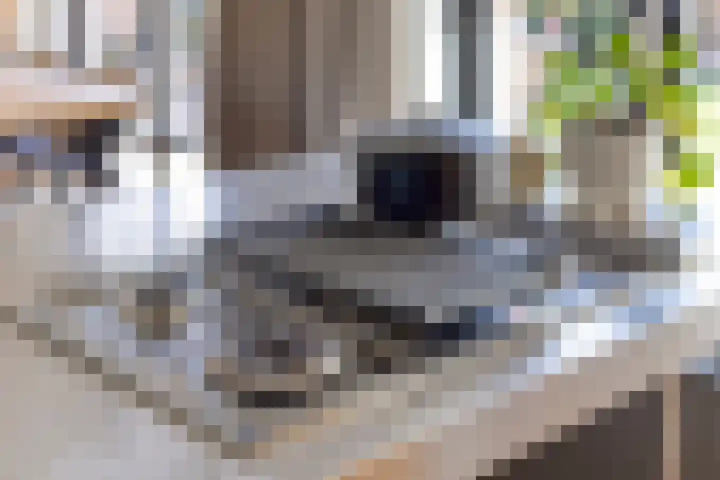 Pasteurlaan 37 Eindhoven thumbnail 20