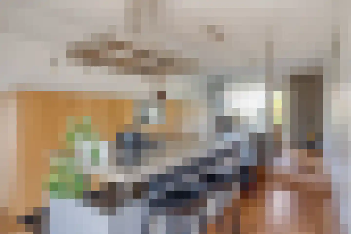 Pasteurlaan 37 Eindhoven thumbnail 21