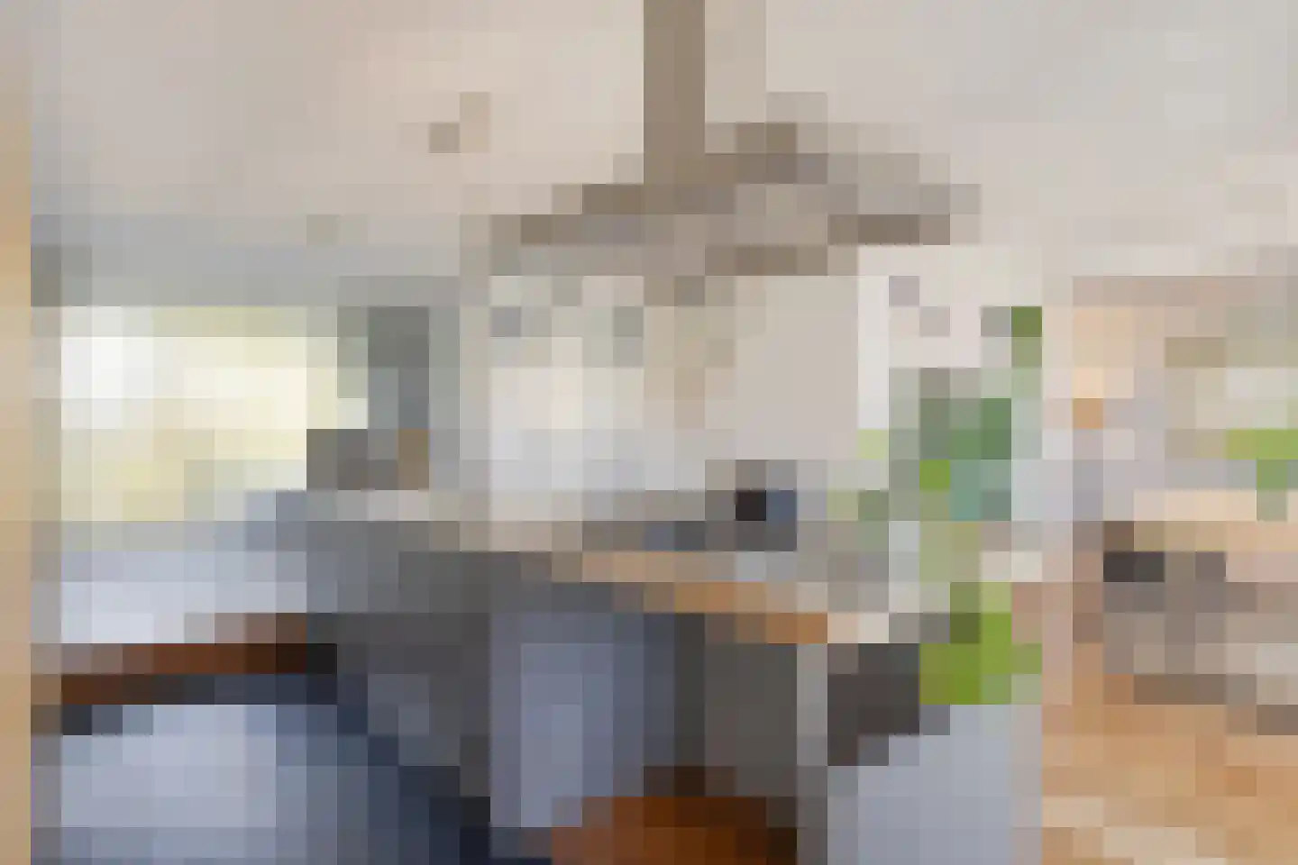 Pasteurlaan 37 Eindhoven thumbnail 22