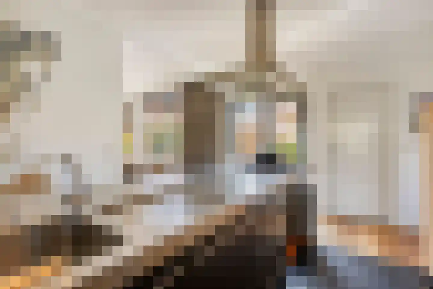 Pasteurlaan 37 Eindhoven thumbnail 23