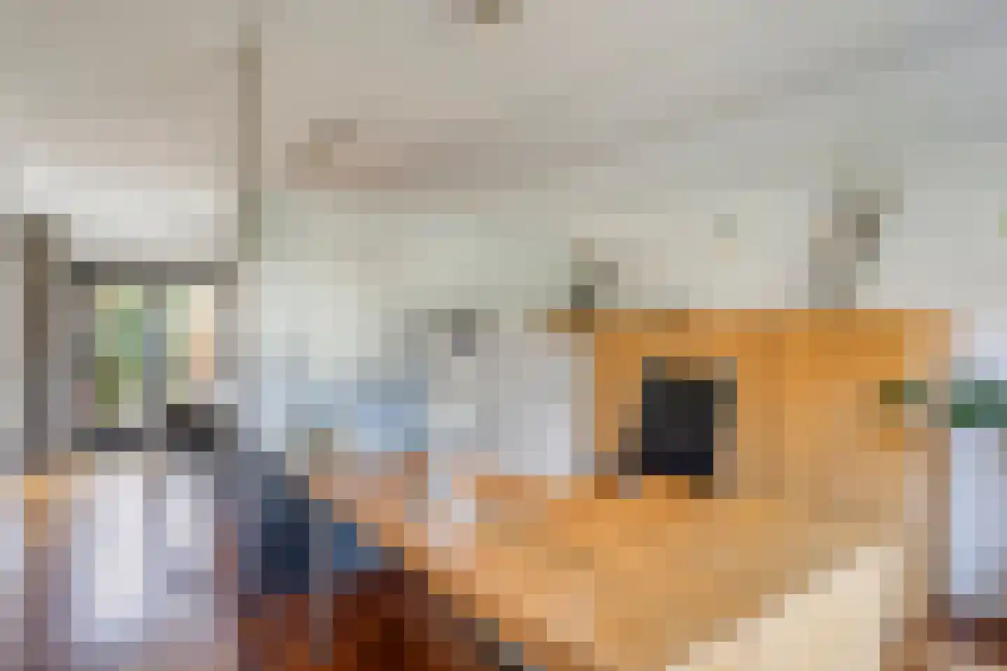 Pasteurlaan 37 Eindhoven thumbnail 26