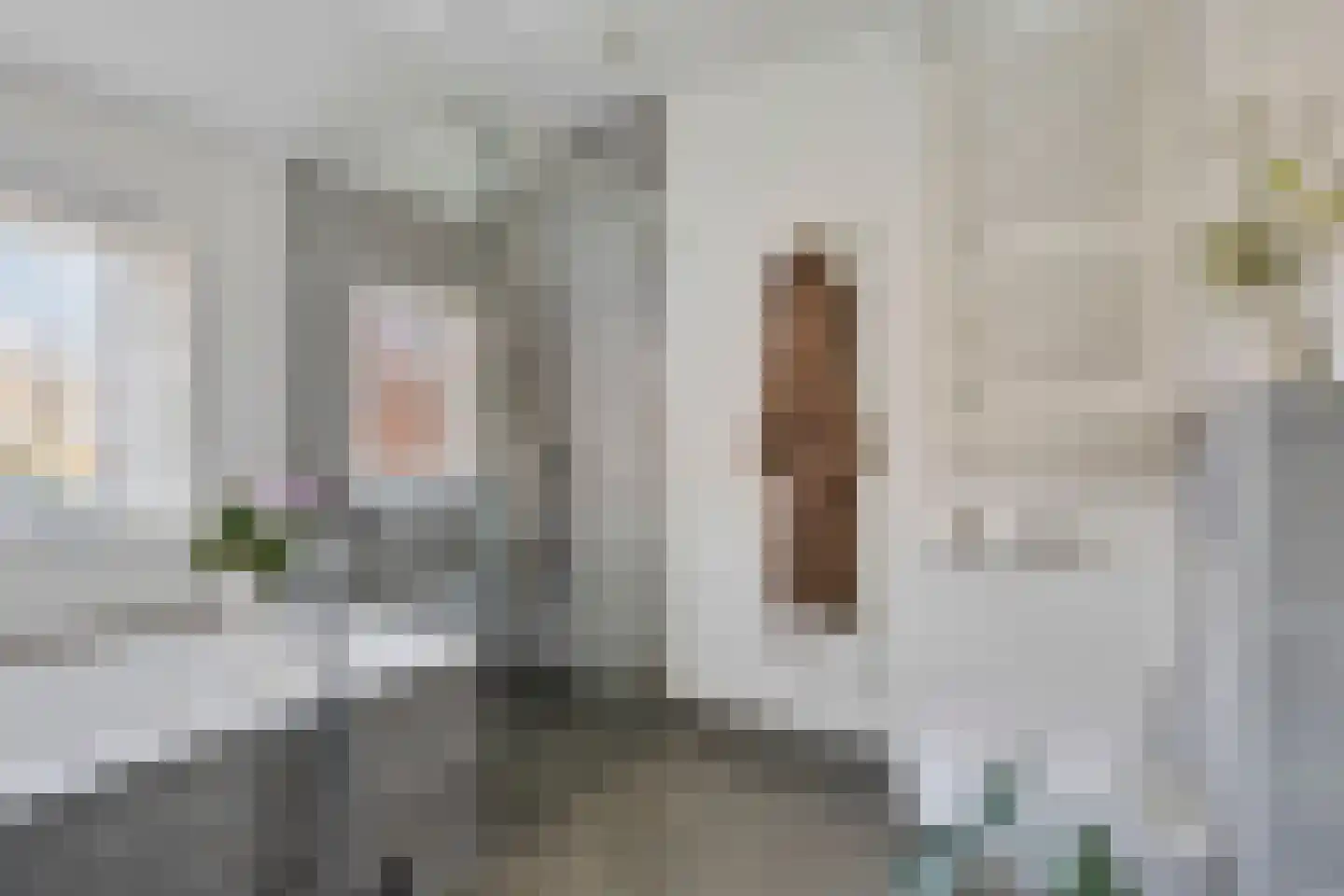 Pasteurlaan 37 Eindhoven thumbnail 34