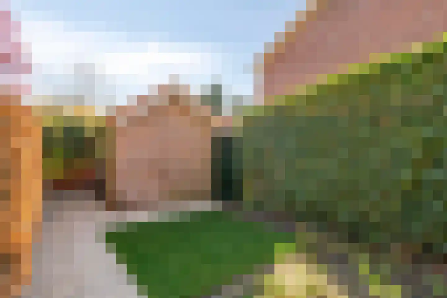 Pasteurlaan 37 Eindhoven thumbnail 47