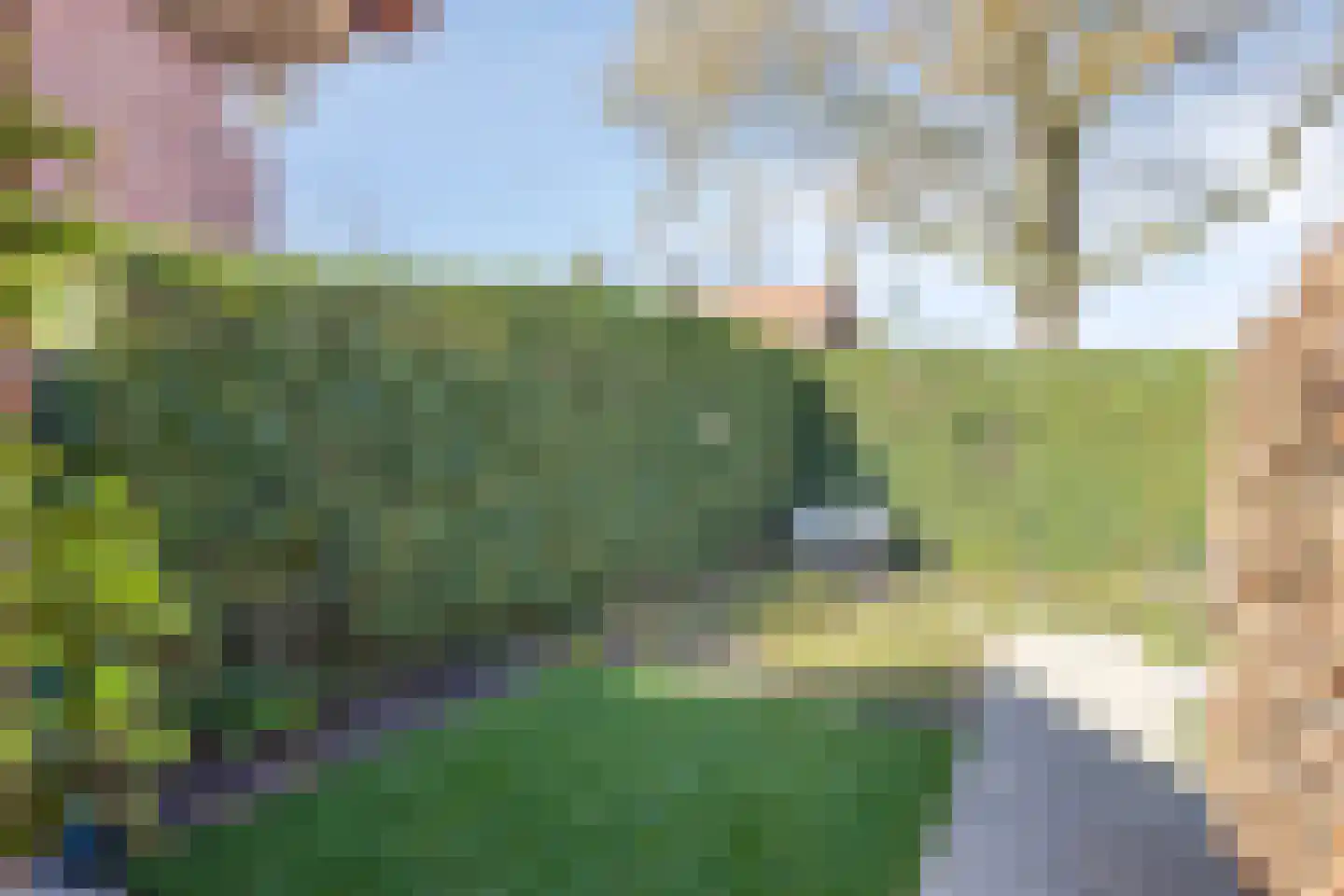 Pasteurlaan 37 Eindhoven thumbnail 48