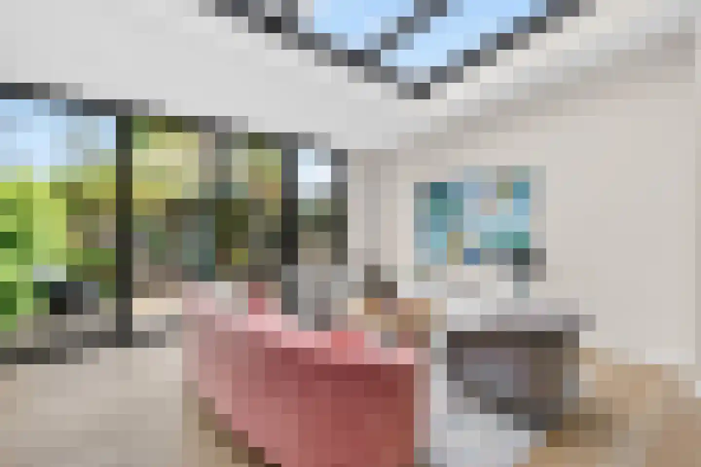 Pasteurlaan 46 Eindhoven thumbnail 10