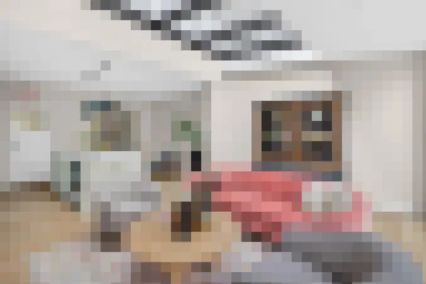Pasteurlaan 46 Eindhoven thumbnail 11