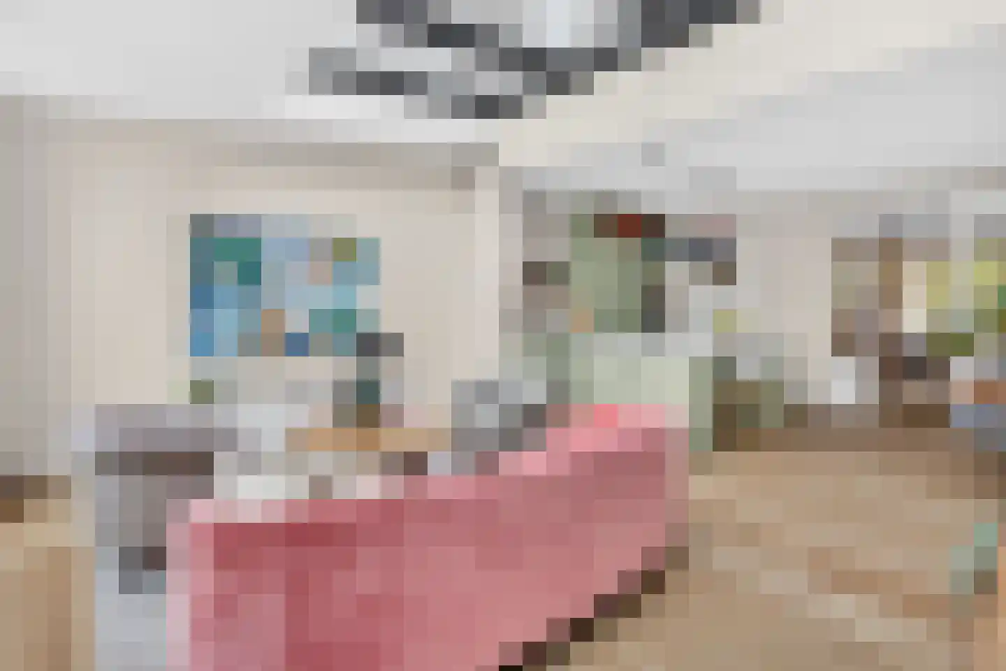 Pasteurlaan 46 Eindhoven thumbnail 12