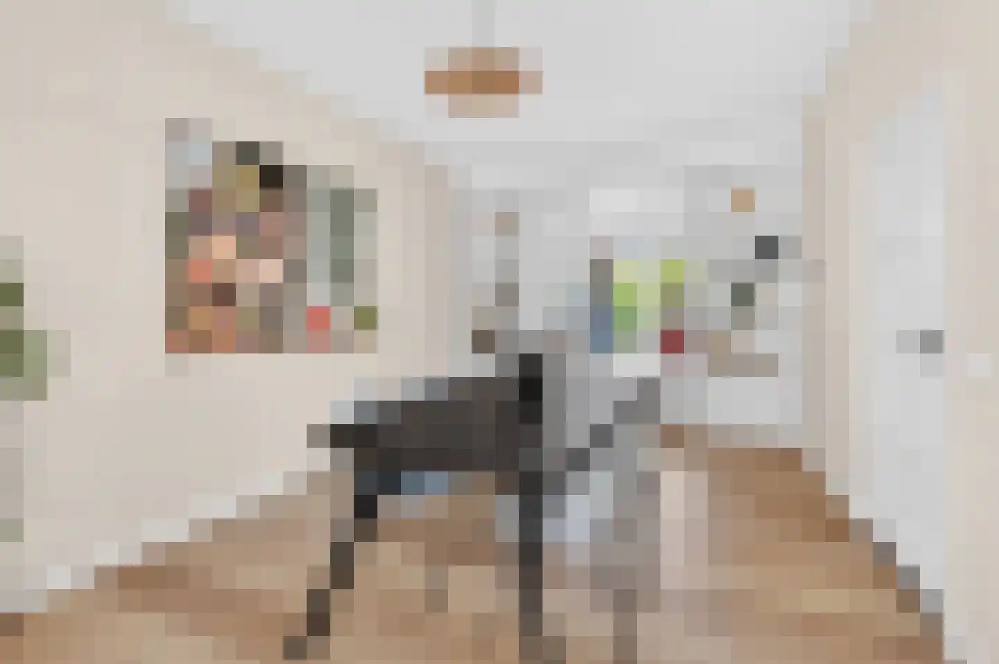 Pasteurlaan 46 Eindhoven thumbnail 19