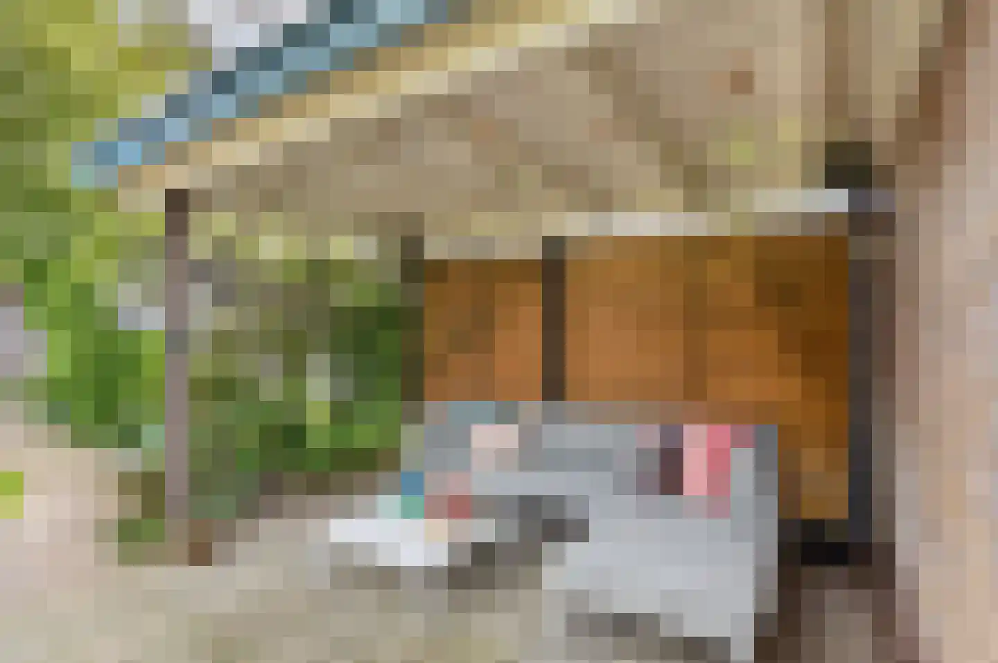 Pasteurlaan 46 Eindhoven thumbnail 23