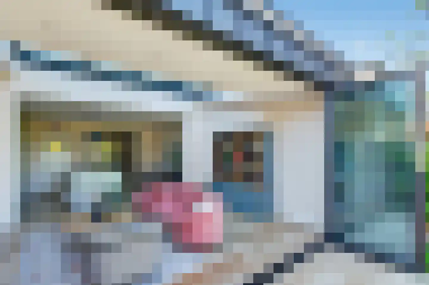 Pasteurlaan 46 Eindhoven thumbnail 28
