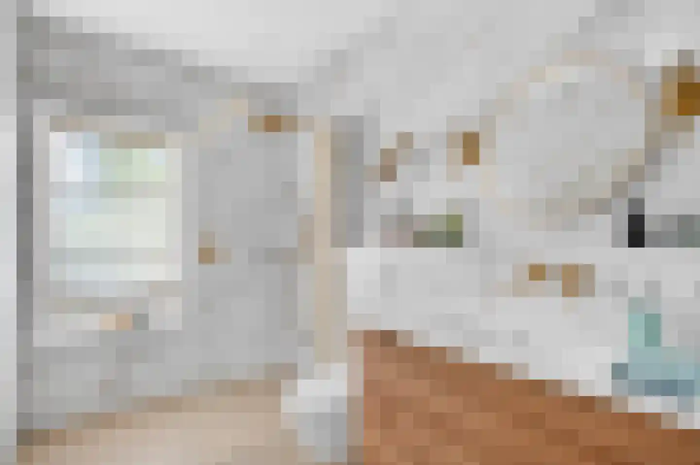 Pasteurlaan 46 Eindhoven thumbnail 32